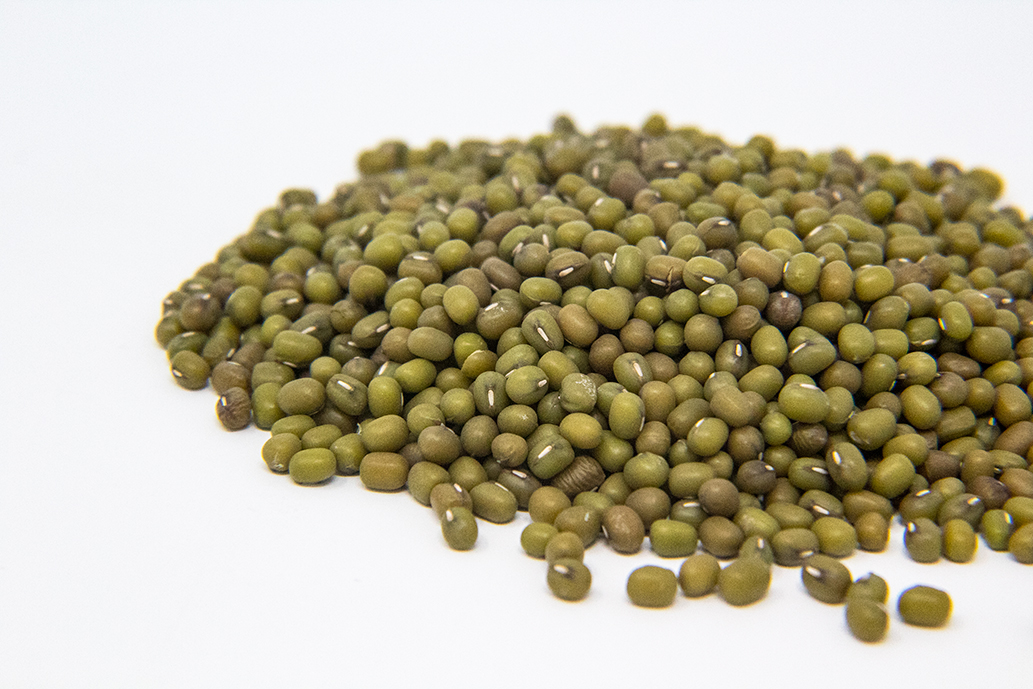 Mung Bean Sprout Seed