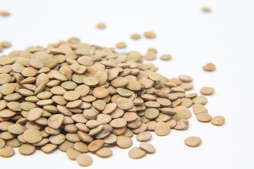 Green Lentil Sprout Seed
