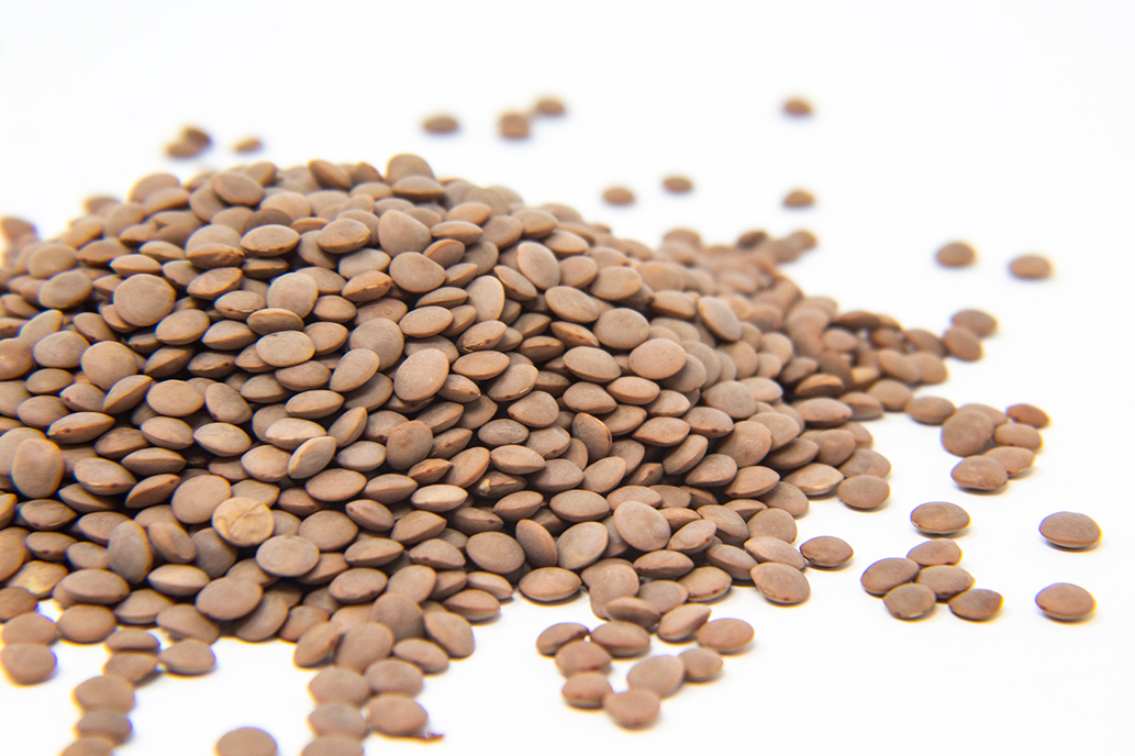 Red Lentil Sprout Seed